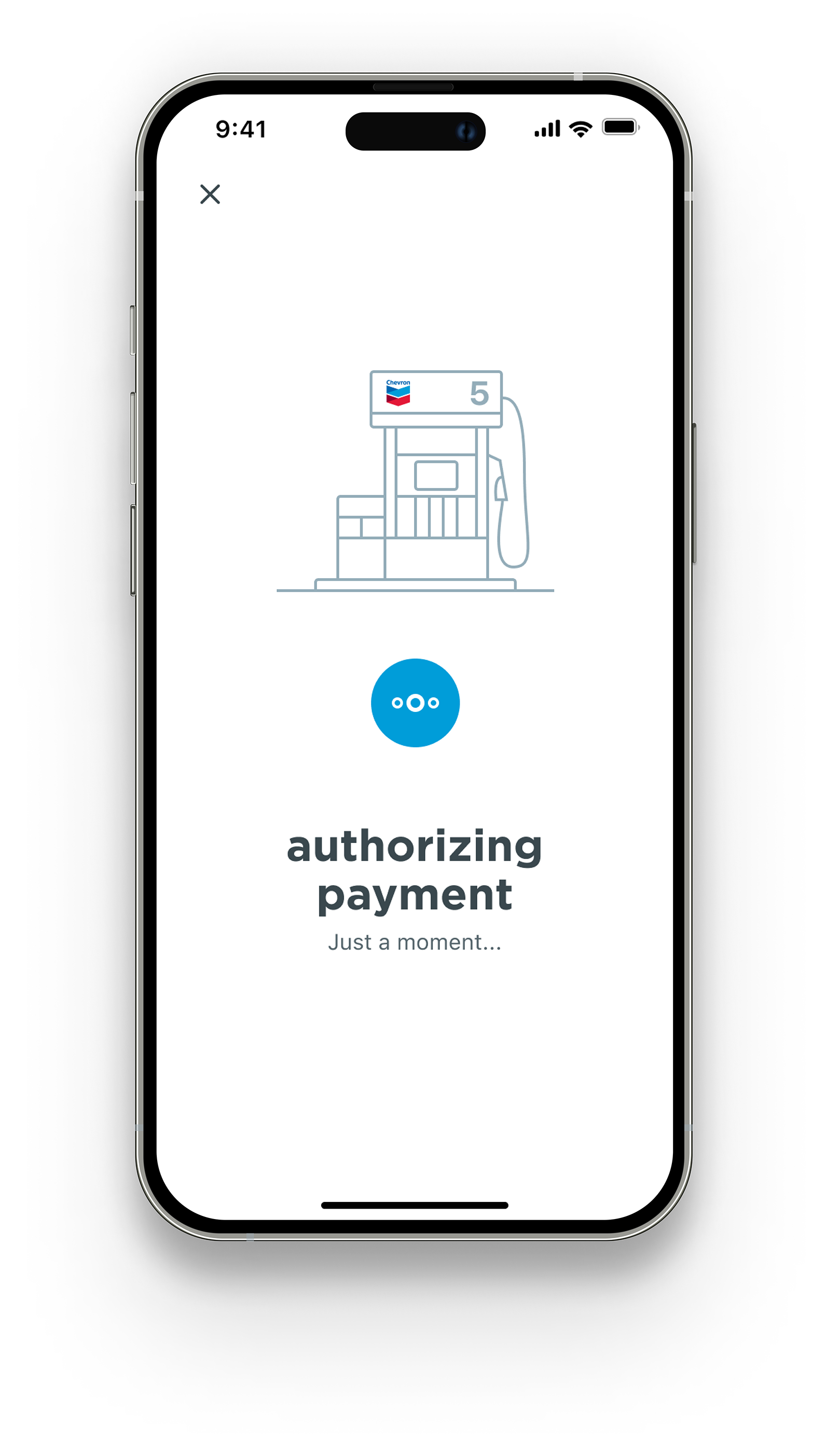 Mobile app Authorize payment screen